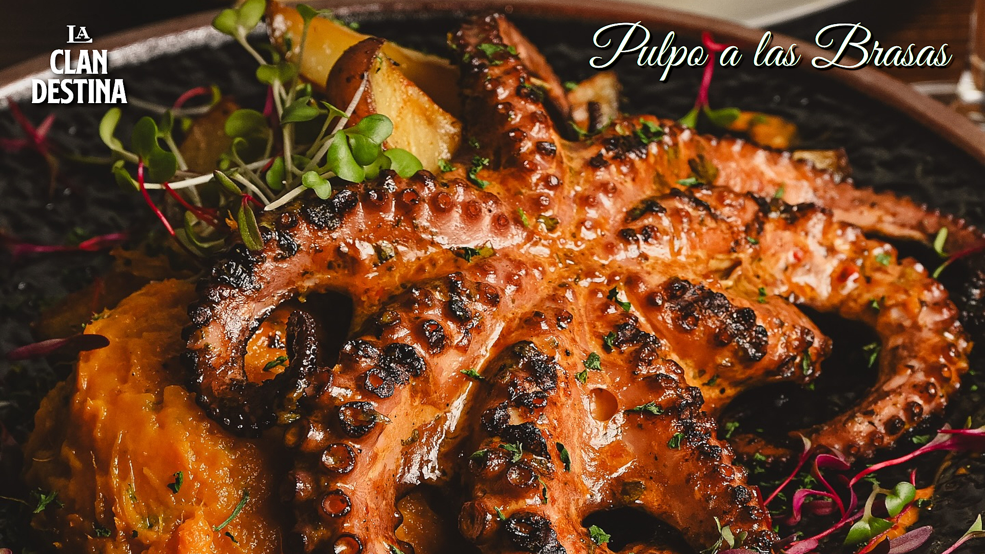 Pulpo a las Brasas